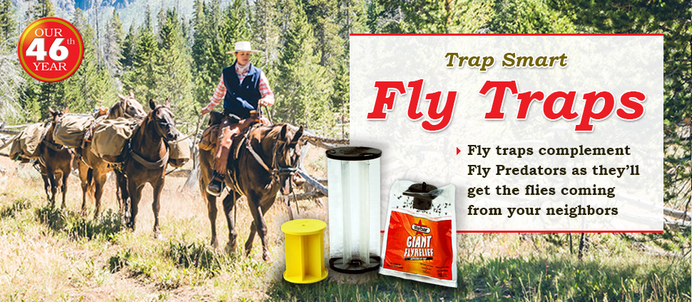 Spalding Fly Traps